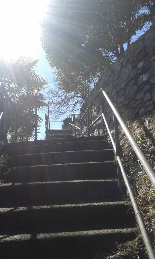 Il Nido Sul Lago Stresa Exterior foto